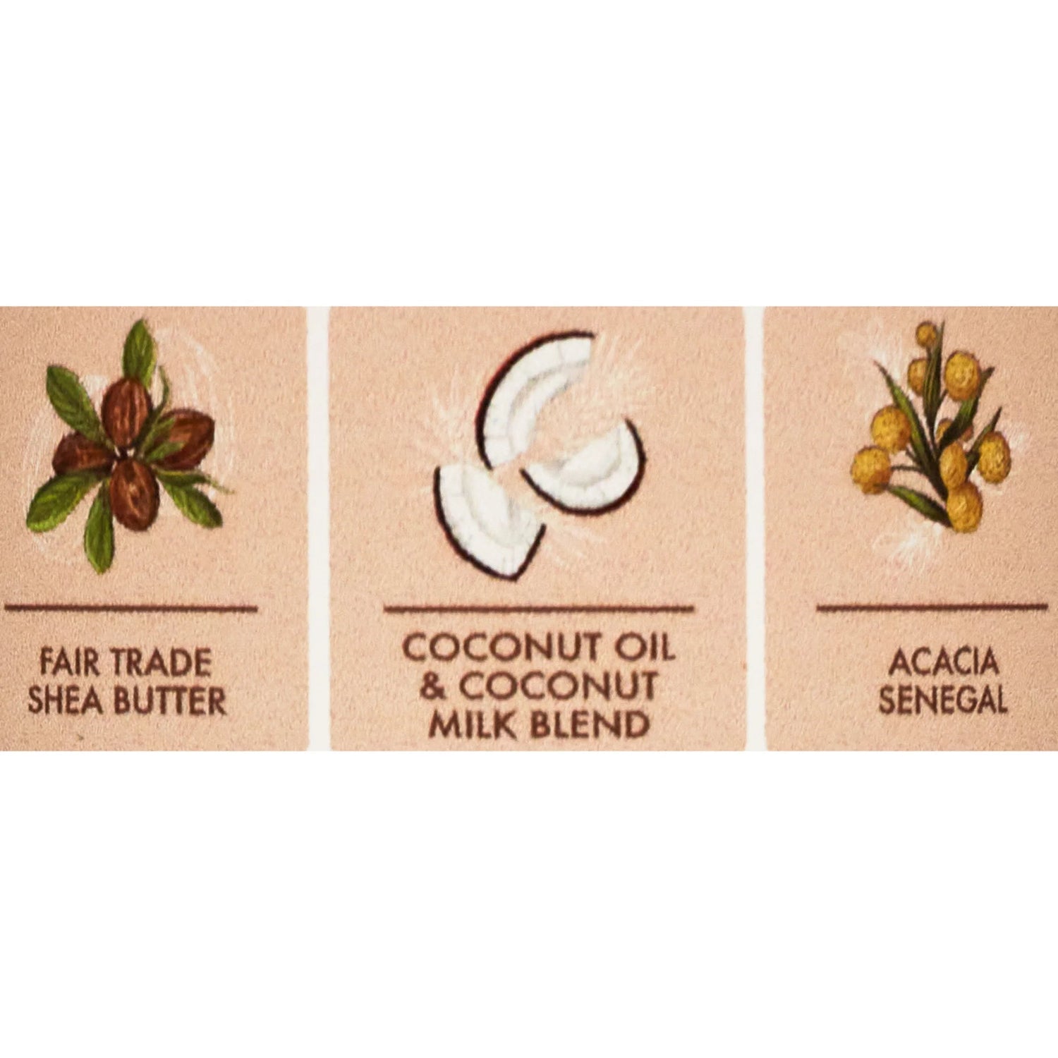 Daily Hydration Body Oil Virgin Coconut Oil for Dry Skin, 8 Oz - Cosmetics Store