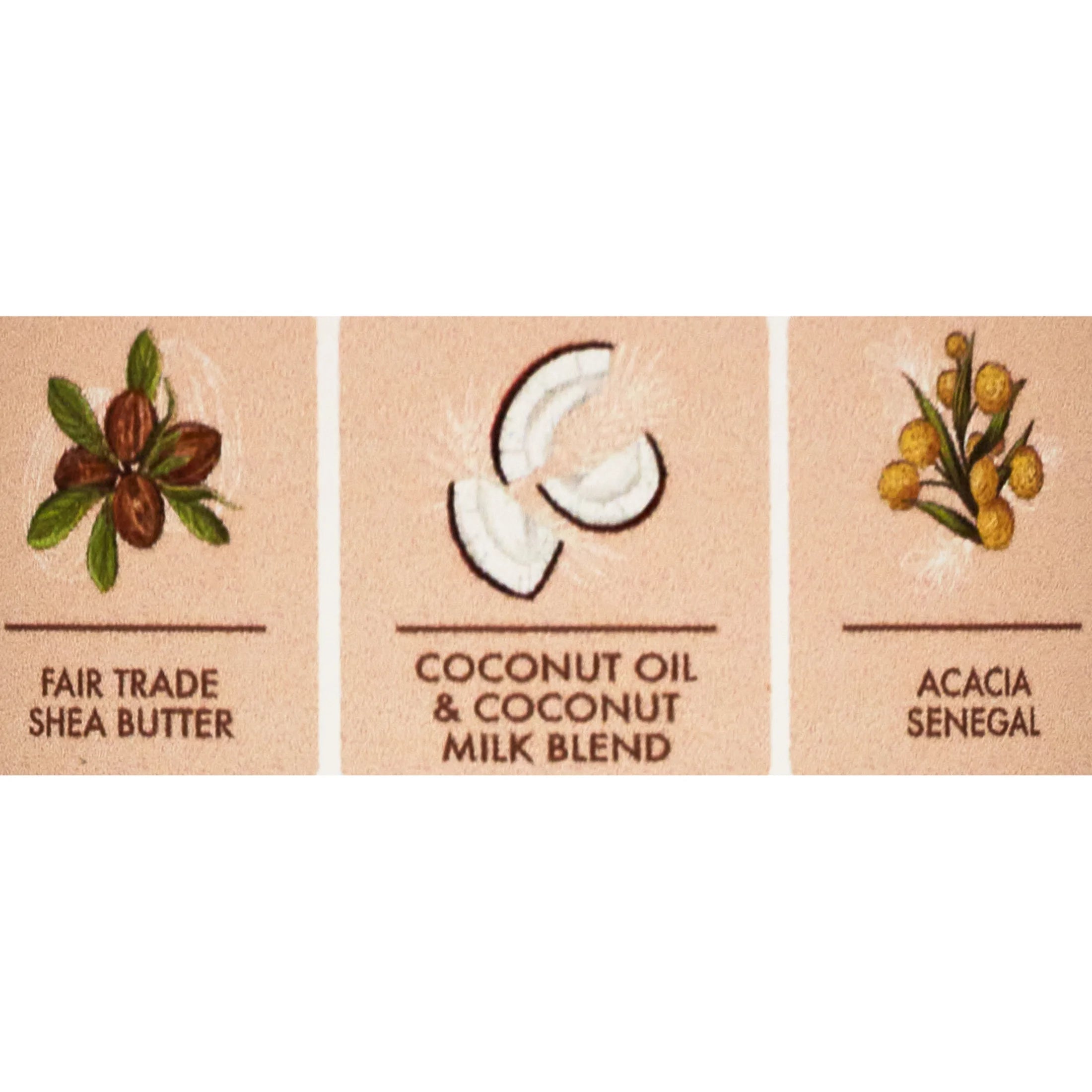 Daily Hydration Body Oil Virgin Coconut Oil for Dry Skin, 8 Oz - Cosmetics Store