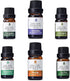 Revitalize Your Space with Our 6 Pack of 100% Pure Essential Aromatherapy Oils - Perfect for Relaxation and Wellness - Cosmetics Store